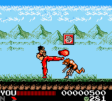 Screenshot Hiryuu no Ken : Retsuden GB