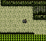 Screenshot Warriors of Might and Magic