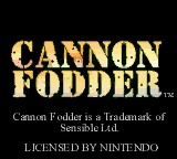 Screenshot Cannon Fodder
