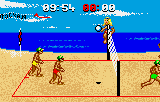 Screenshot Malibu Bikini Volleyball