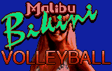 Screenshot Malibu Bikini Volleyball