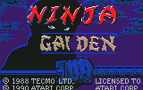 Screenshot Ninja Gaiden