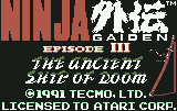 Screenshot Ninja Gaiden III : The Ancient Ship of Doom