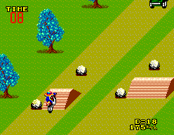 Screenshot Enduro Racer