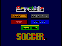 Screenshot Sensible Soccer : European Champions