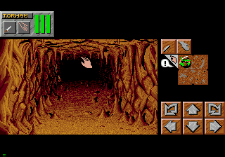 Screenshot Dungeon Master II : Skullkeep