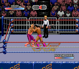 Screenshot WWF Rage in the Cage