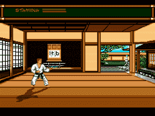 Screenshot Budokan : The Martial Spirit