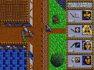 Screenshot Dungeons & Dragons : Warriors of the Eternal Sun