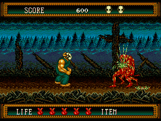 Screenshot Splatterhouse 2