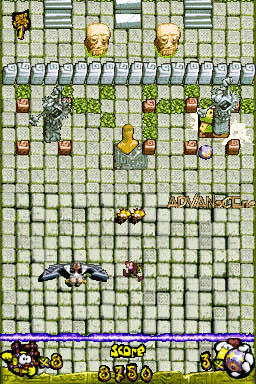 Screenshot Chicken Attack Ds