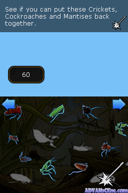 Screenshot Clever Kids - Creepy Crawlies