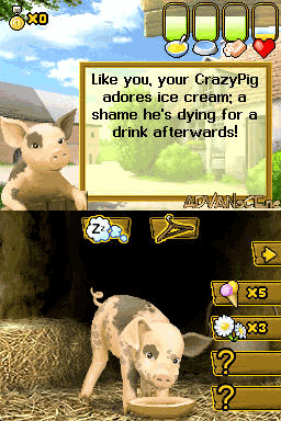 Screenshot Crazy Pig