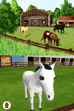 Screenshot Mon Ami le Poney
