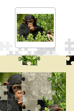 Screenshot Geo Puzzle