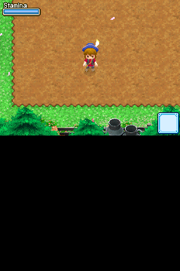 Screenshot Harvest Moon DS - Grand Bazaar