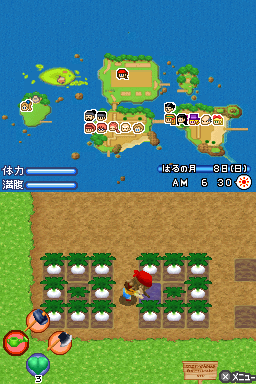 Screenshot Harvest Moon : L'archipel Du Soleil