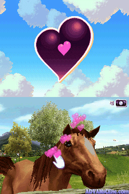 Screenshot Horse Life 3 : Mon Haras, mes Chevaux