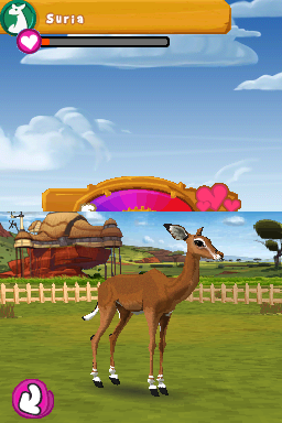 Screenshot Léa Passion Vétérinaire Safari