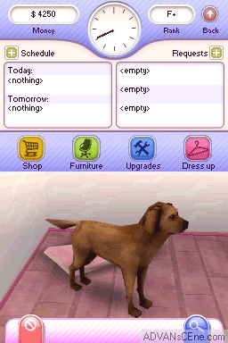Screenshot 30 Millions d'Amis : Mon Refuge Pour Animaux