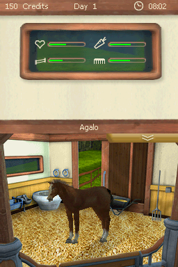 Screenshot Real Stories - Best Friends - Mon Poulain, Mon Cheval