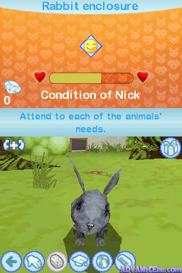 Screenshot A la Découverte des Bébés Animaux