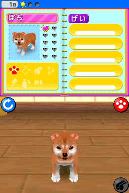 Screenshot My Pet Shop : Mes Meilleurs Amis