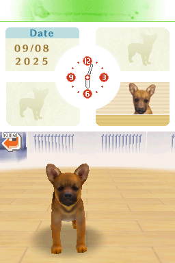 Screenshot Nintendogs