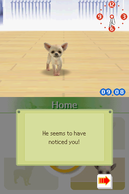 Screenshot Nintendogs - Chihuahua & ses Amis