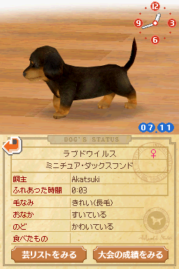Screenshot Nintendogs : Teckel & ses Amis