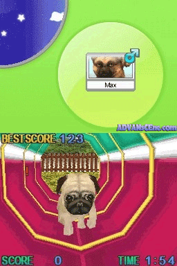 Screenshot Petz - Dogz Pack