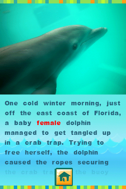 Screenshot Winter's Tail - How One Little Dolphin Learned To Swim Again