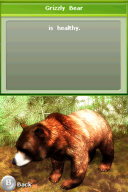Screenshot Zoo Vet : Endangered Animals