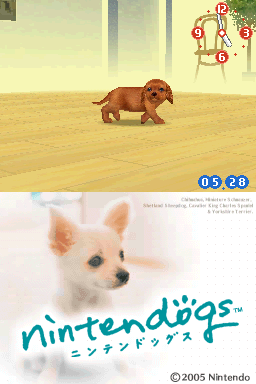 Screenshot Nintendogs - Chihuahua & ses Amis