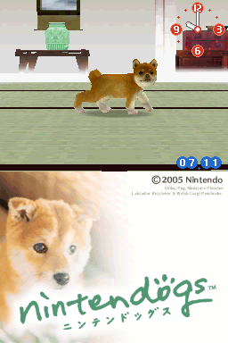 Screenshot Nintendogs : Labrador & ses Amis