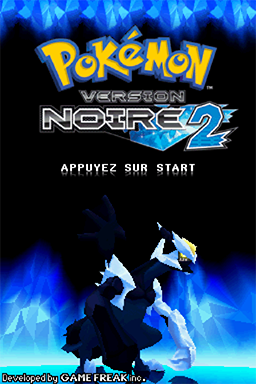Screenshot Pokémon - Version Noire 2