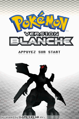 Screenshot Pokémon - Version Blanche