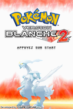 Screenshot Pokémon - Version Blanche 2