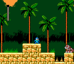 Screenshot Mega Man 5