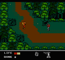 Screenshot Snake's Revenge