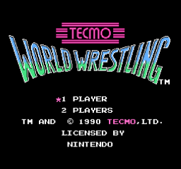 Screenshot Tecmo World Wrestling