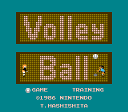 Screenshot Volleyball