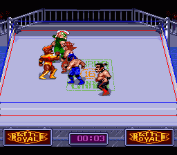 Screenshot Battle Royale