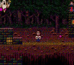 Screenshot Ghost Manor