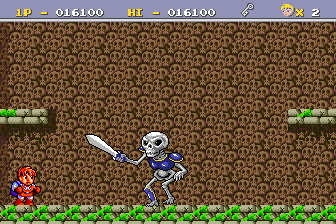Screenshot Legend of Hero Tonma