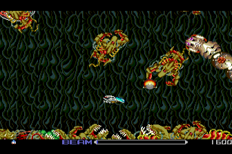 Screenshot R-Type
