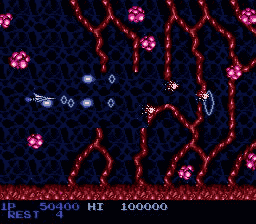 Screenshot Salamander