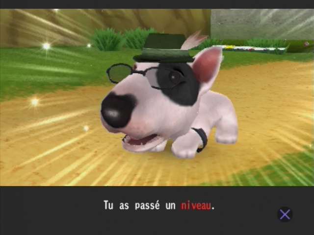 Screenshot Artlist Collection : The Dog Island