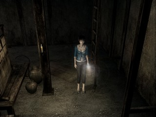 Screenshot Project Zero 3 : The Tormented