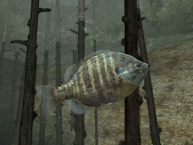 Screenshot Reel Fishing III